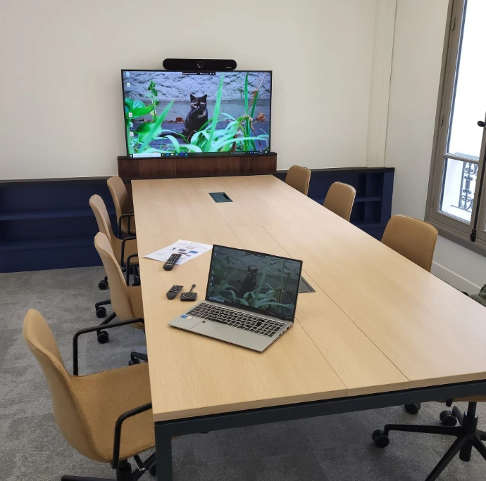 Visioconférence, vidéoconférence sans fil